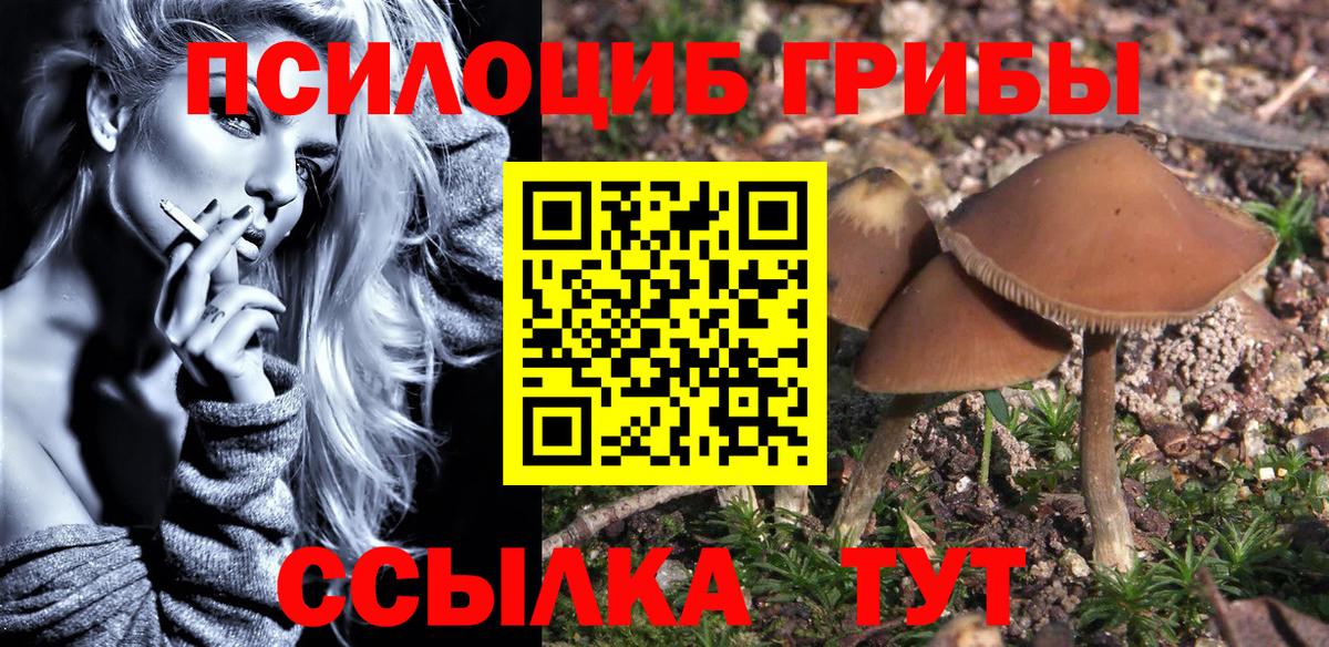 Галлюциногенные грибы ЛСД Тобольск