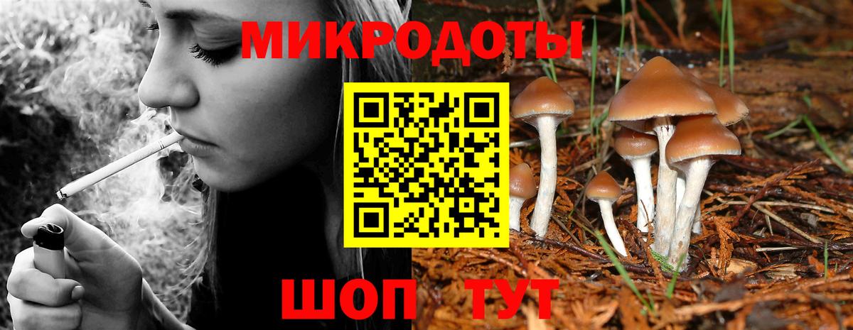 Тобольск  Галлюциногенные грибы Psilocybe  Вход с VPN 