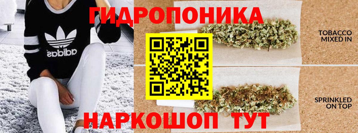 Конопля ГИДРОПОН  Шишки марихуана VHQ  Вход с VPN  Бошки Шишки AK-47  Тобольск  Бошки Шишки гибрид 